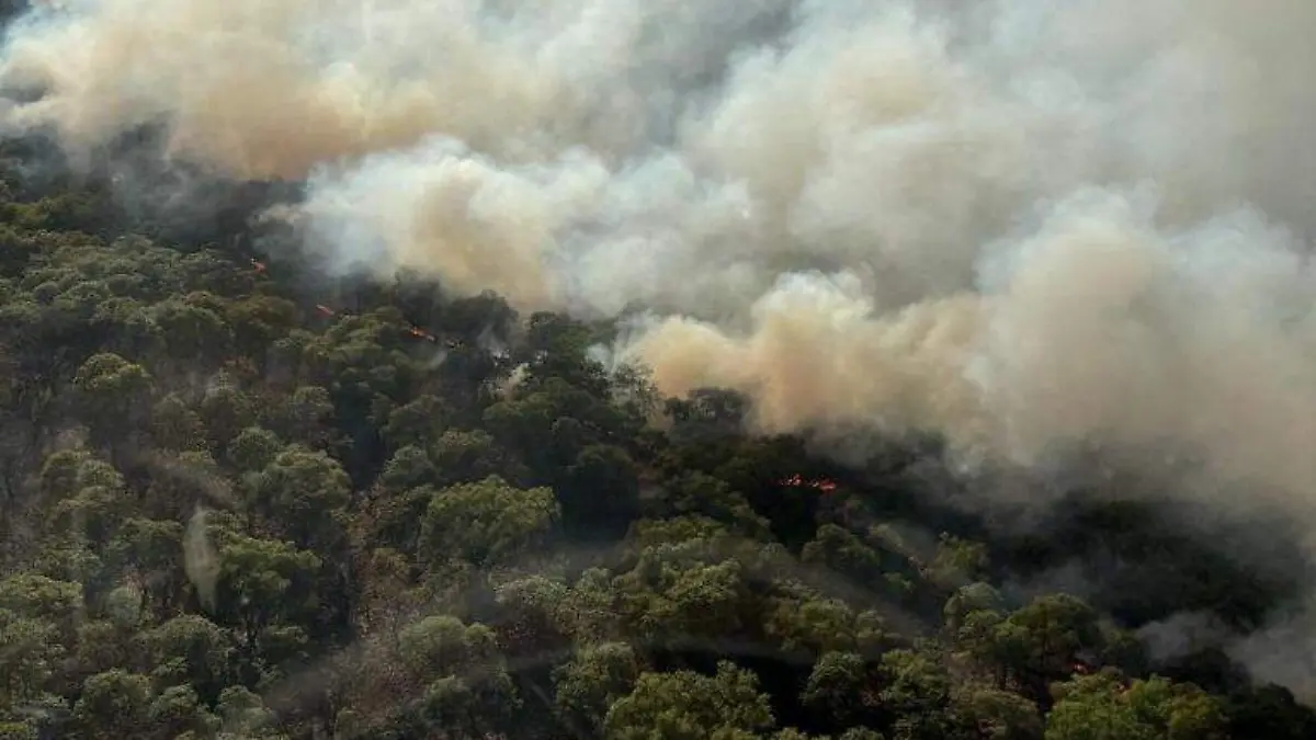 Incendio La Lobera Tala